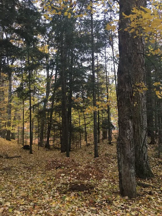 7-MILE Pinecrest Resort 4