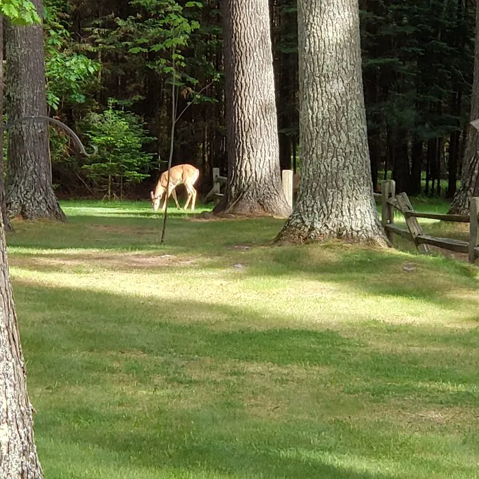Cranberry Pines Vacation Rental 4