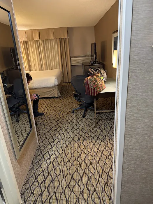 Grand Royal Hotel O'Hare - Chicago 4