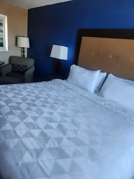 Grand Royal Hotel O'Hare - Chicago 4