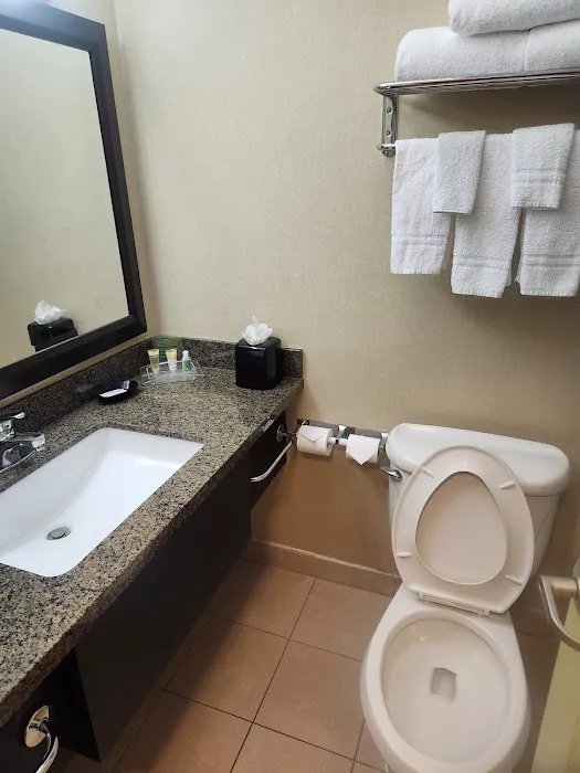 Grand Royal Hotel O'Hare - Chicago 4