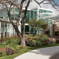Holiday Inn Chicago-Elk Grove, an IHG Hotel ico