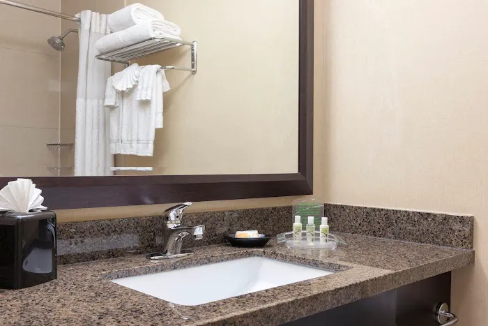 Holiday Inn Chicago-Elk Grove, an IHG Hotel 4