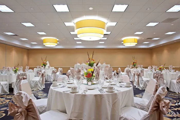 Holiday Inn Chicago-Elk Grove, an IHG Hotel 4