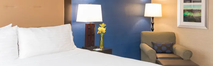Holiday Inn Chicago-Elk Grove, an IHG Hotel 4