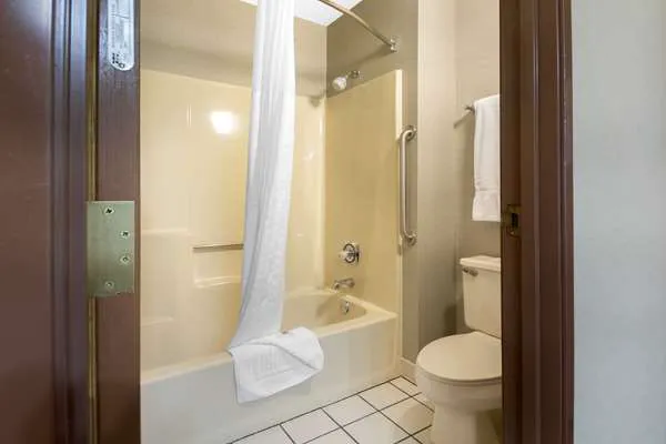 Comfort Inn Iron Mountain North 4