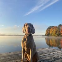 Jansen's Eagle Lake Resort ico