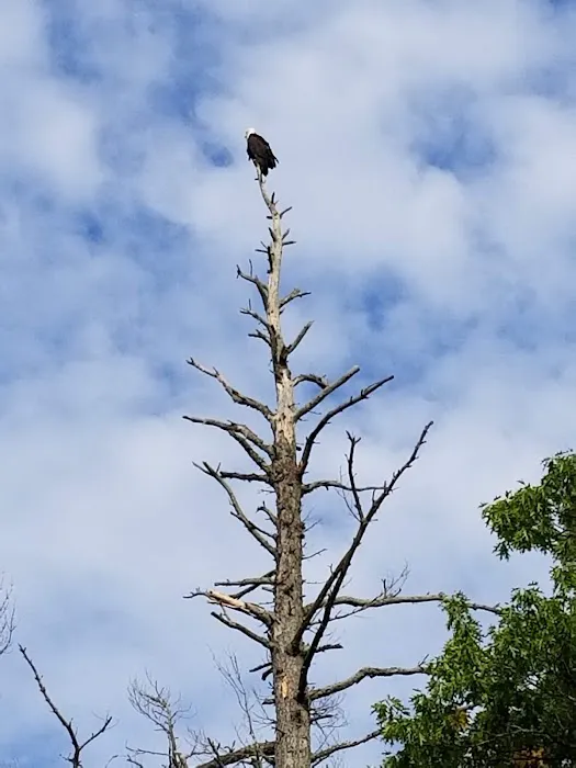 Jansen's Eagle Lake Resort 4