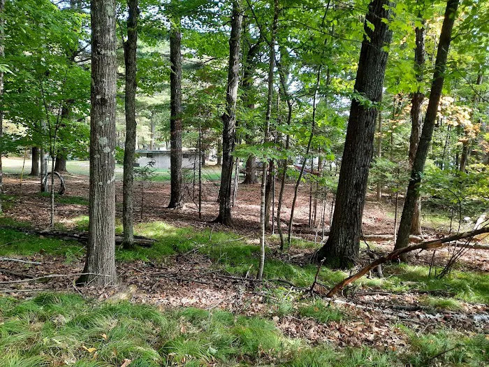 Eagle Villa at Otter Cove 4