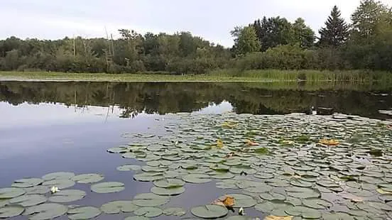 Pike Lake Resort 4