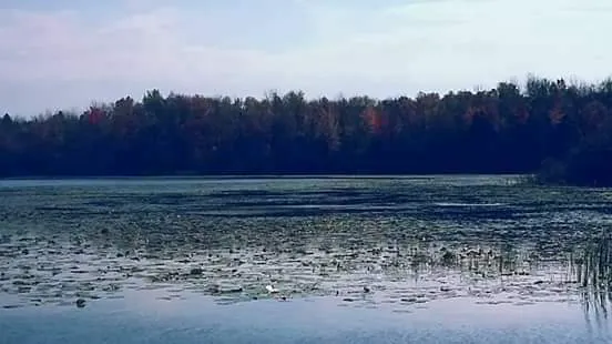 Pike Lake Resort 4