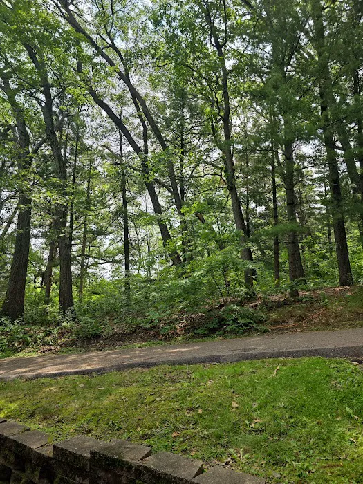 Christmas Mountain Campground 4