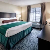 Cobblestone Inn & Suites - Durand ico