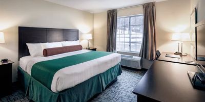 Cobblestone Inn & Suites - Durand