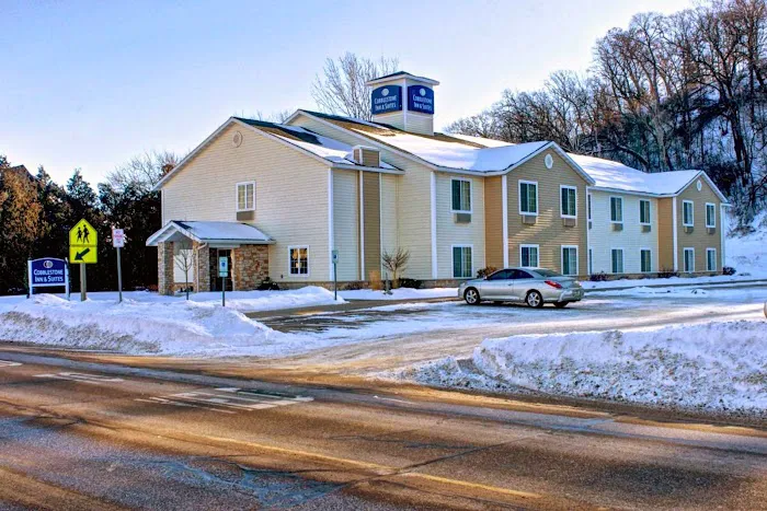 Cobblestone Inn & Suites - Durand 4