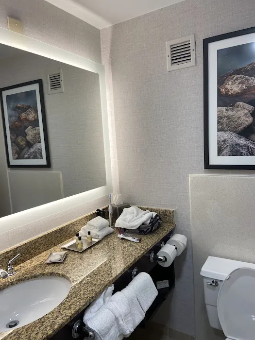 Wyndham Chicago O'Hare 4