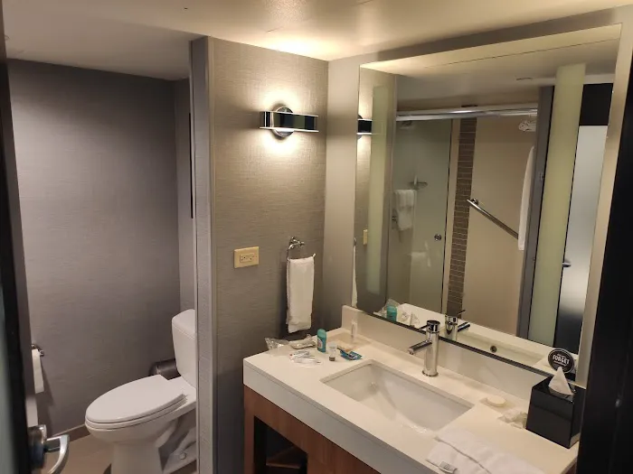 Hyatt Place Chicago/O'Hare Airport 4
