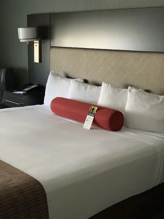 Best Western at O'Hare 4