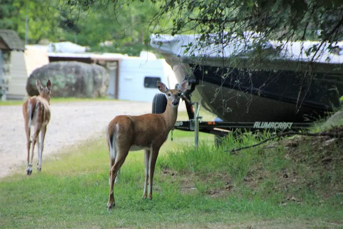 Maple View Resort & Campground 4