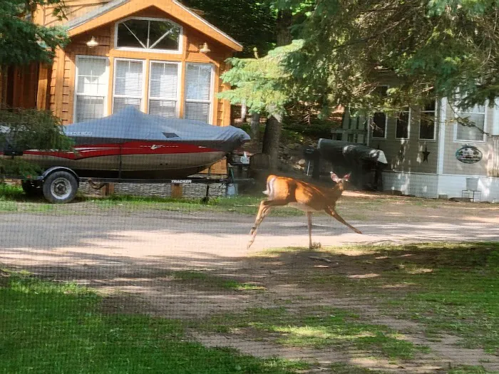 Maple View Resort & Campground 4