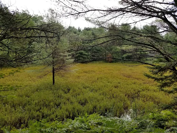 Forest Gardens Getaway 4