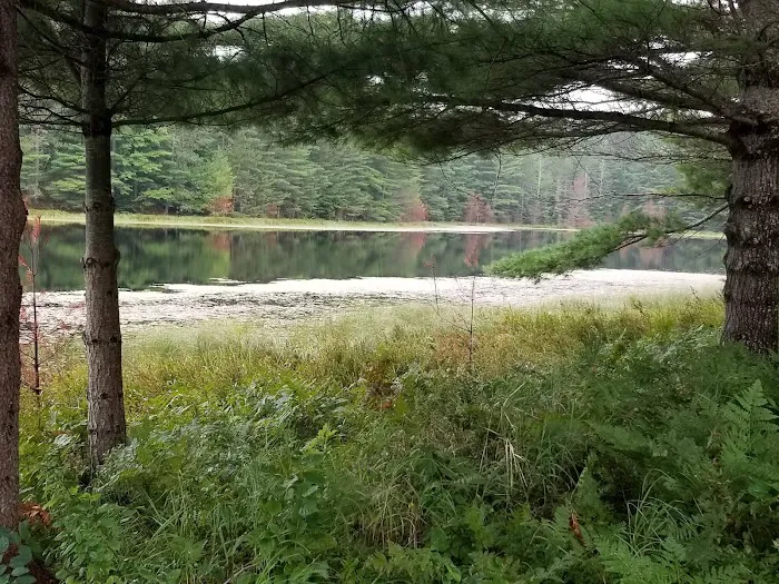 Forest Gardens Getaway 4