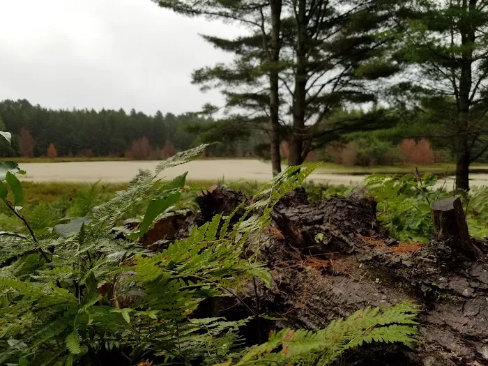 Forest Gardens Getaway 4