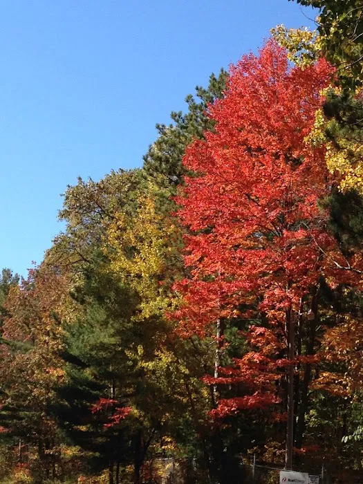 Lake Holcombe Resort Association 4