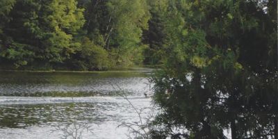 Cedar Bay Resort