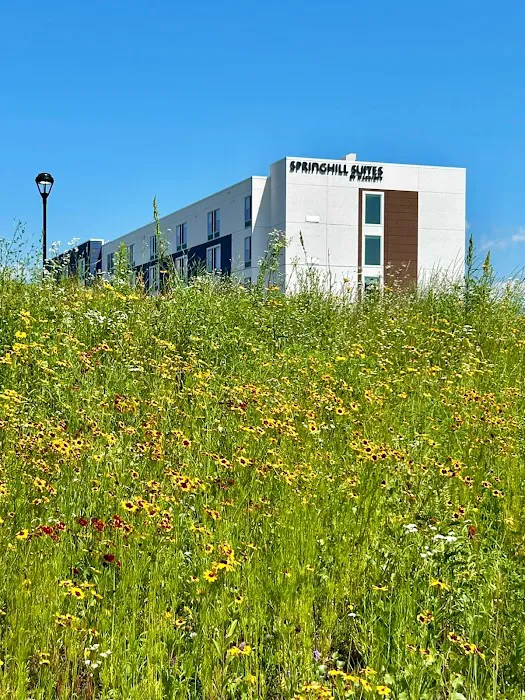 SpringHill Suites Eau Claire 4