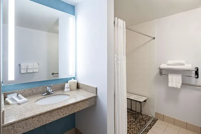 Hilton Garden Inn Chicago O'Hare Airport 4