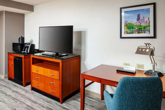 Hilton Garden Inn Chicago O'Hare Airport 4
