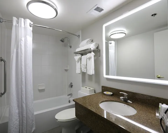 Holiday Inn Chicago O'Hare Area by IHG 5