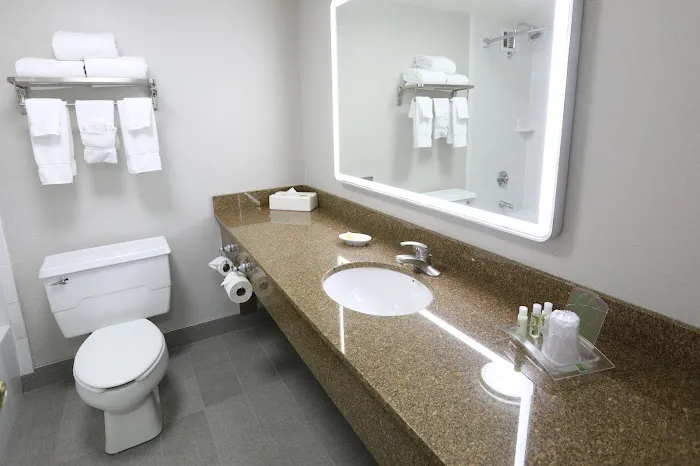 Holiday Inn Chicago O'Hare Area by IHG 5