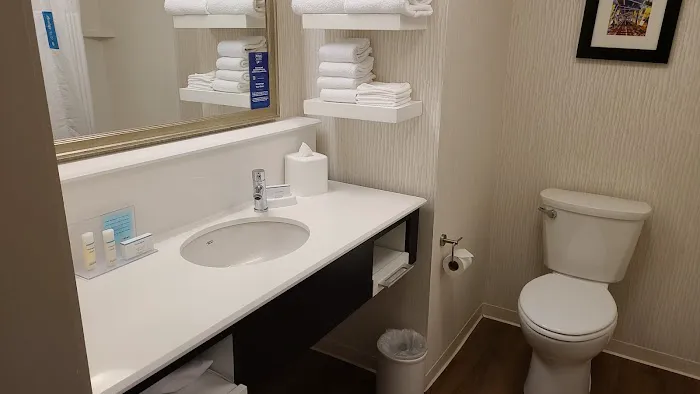Hampton Inn & Suites Rosemont Chicago O'Hare 4