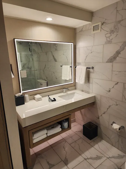 The Westin O'Hare 4