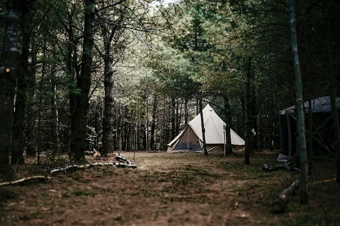 Pinecrest Northwoods 4
