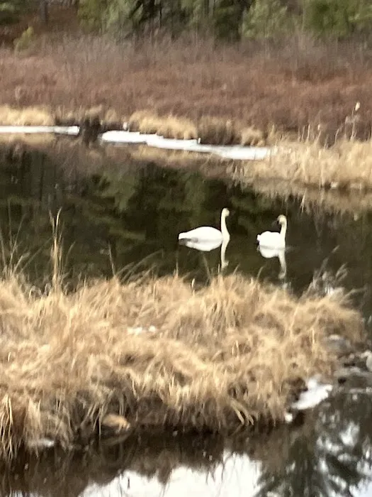 Krull's Deer Path Resort 4