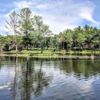 Canoe Bay ico