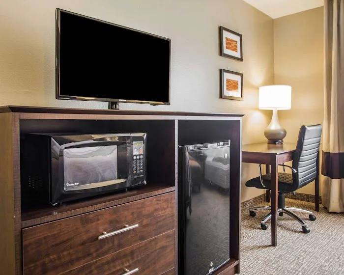 Comfort Inn & Suites Waterloo - Cedar Falls 4