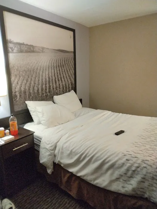 Boarders Inn & Suites by Cobblestone Hotels - Waterloo/Cedar Falls 4