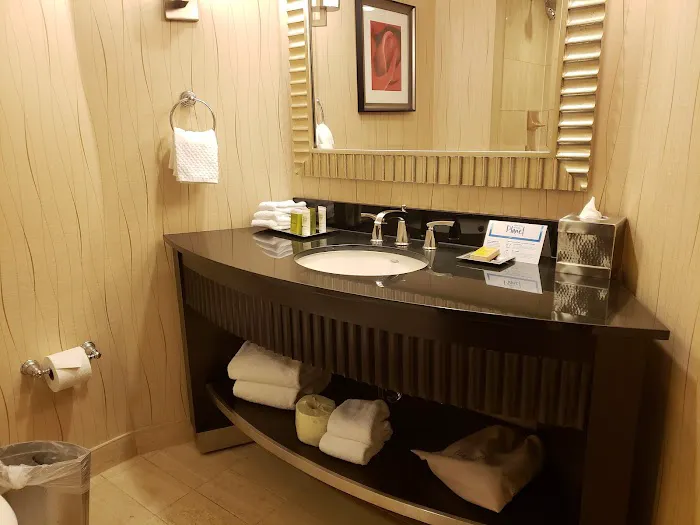 Hilton Rosemont/Chicago O'Hare 4