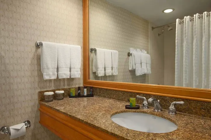 Embassy Suites by Hilton Chicago O'Hare Rosemont 4
