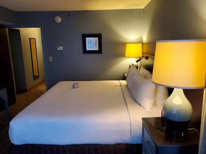 Crowne Plaza Chicago Ohare Hotel & Conf Ctr by IHG 4