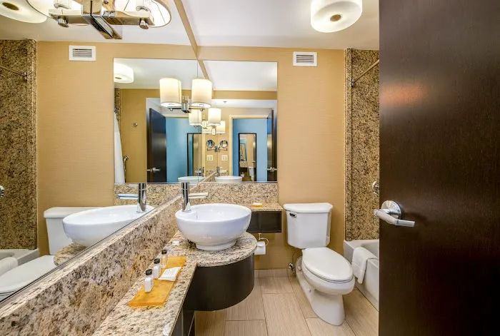 Crowne Plaza Chicago Ohare Hotel & Conf Ctr by IHG 4