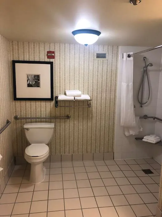 Hilton Garden Inn Addison 4