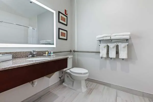 Comfort Suites Lombard - Addison 4