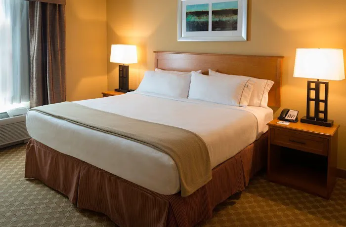 Holiday Inn Express & Suites Chicago West-Roselle by IHG 4