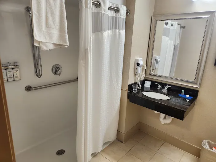 Holiday Inn Express & Suites Chicago West-Roselle by IHG 4