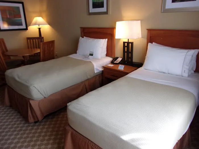 Holiday Inn Express & Suites Chicago West-Roselle by IHG 4